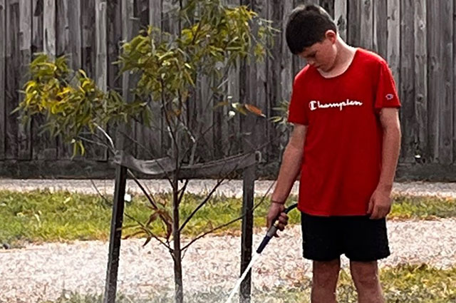 feb-2023-caring-for-young-trees