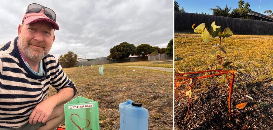 nov-2023-tree-planting